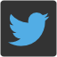 Share on Twitter twitter