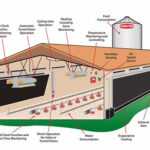 Precautions for using the automatic chicken feeder