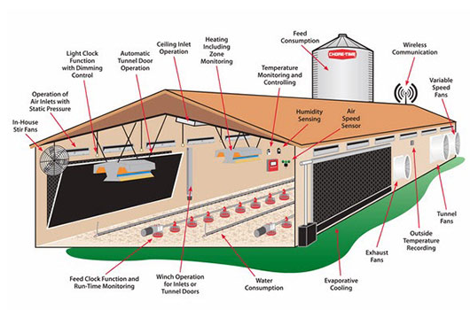 large scale chicken house