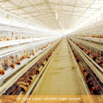 What are the benefits of cascading layer farming cages?