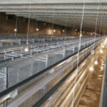 Several key points to pay attention to in chicken cages